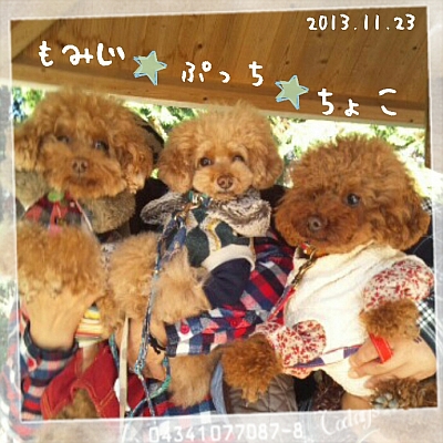 2013-11-23_20_30_52.jpg
