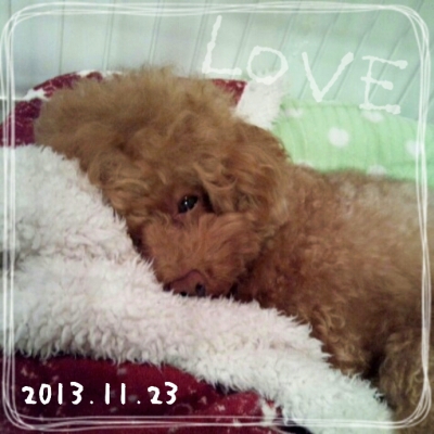 2013-11-23_20_57_06.jpg