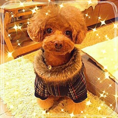 2013-11-28_20_18_47decr.jpg