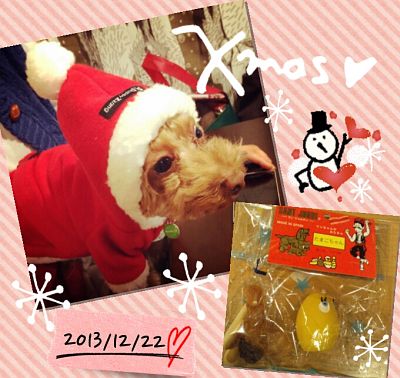 2013-12-23_08_24_39.jpg
