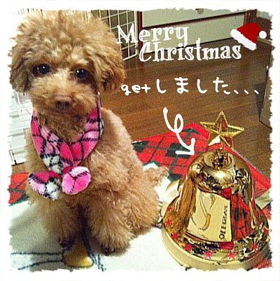 2013-12-23_15_49_56.jpg