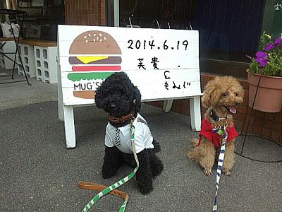 2014-06-19_20_28_37.jpg