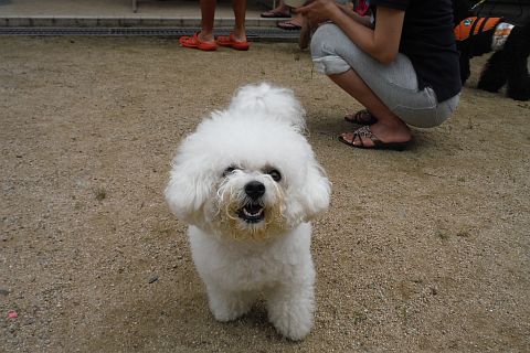 DSCF1017.jpg