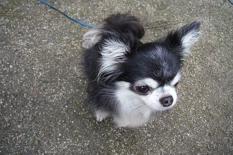 DSCF1055.jpg