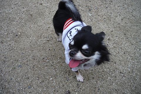 DSCF1060.jpg