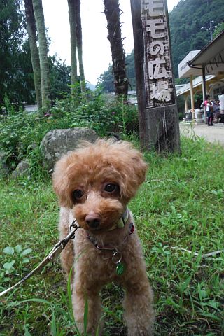 DSCF1089.jpg