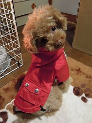 DSCN0238-2.jpg