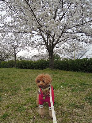 DSCN0316.jpg