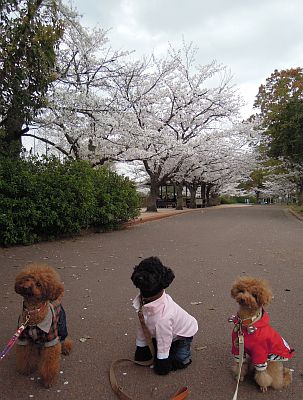 DSCN0325.jpg