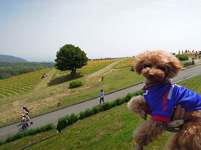 DSCN0372.jpg