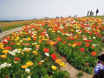 DSCN0374.jpg