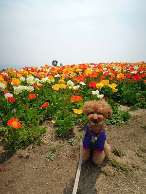 DSCN0375.jpg