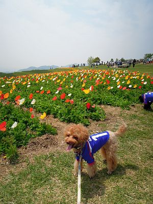 DSCN0390.jpg