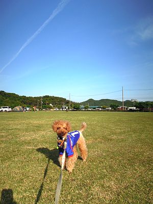DSCN0413.jpg