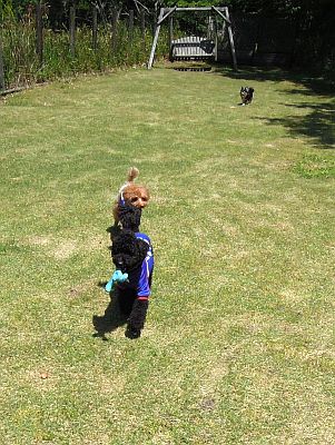 DSCN0418.jpg