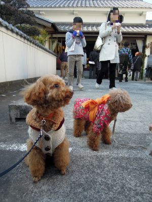DSCN9333.jpg