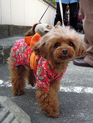 DSCN9341.jpg