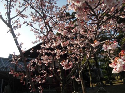 DSCN9356.jpg