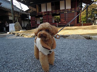 DSCN9361.jpg