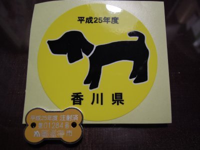 DSCN9680.jpg