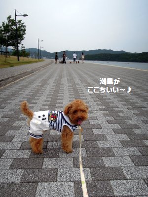 DSCN9975.jpg