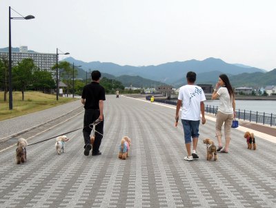 DSCN9976.jpg
