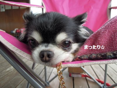 DSCN9979.jpg