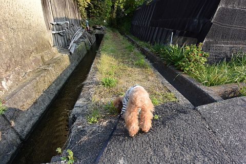 DSC_0763.jpg