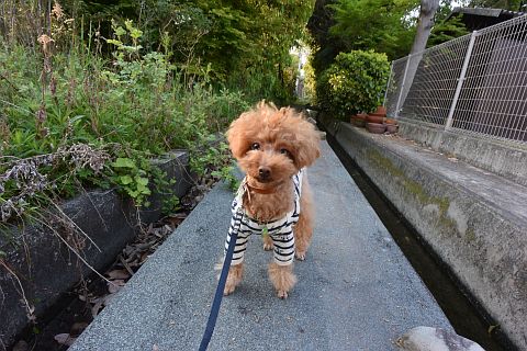 DSC_0772.jpg