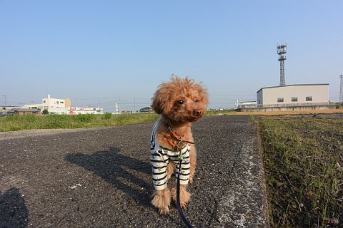 DSC_0790.jpg