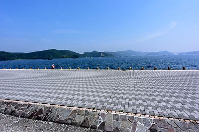 DSC_2019.jpg