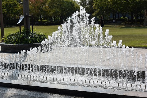 DSC_5581.jpg