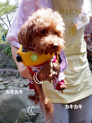 カキカキ.jpg