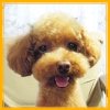 ブログプロフィール3.jpg