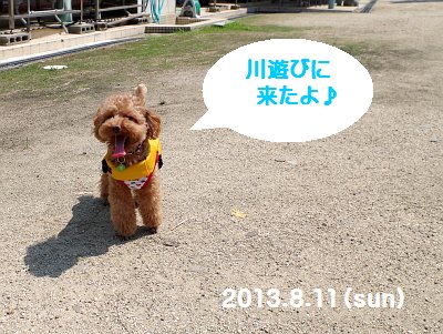 川遊びに来たよ.jpg