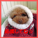 応援してね☆1.jpg