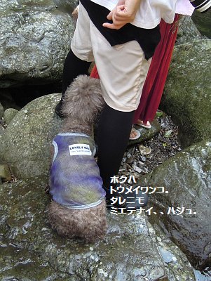 Deちゃん.jpg