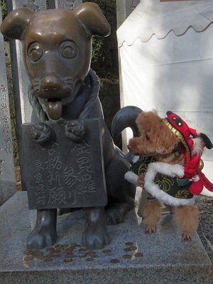IMGP0728.jpg