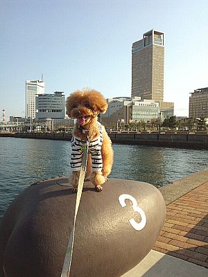 IMG_20140328_200712.jpg