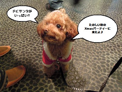 Xmasパーティー.jpg