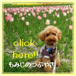 click here!!.gif