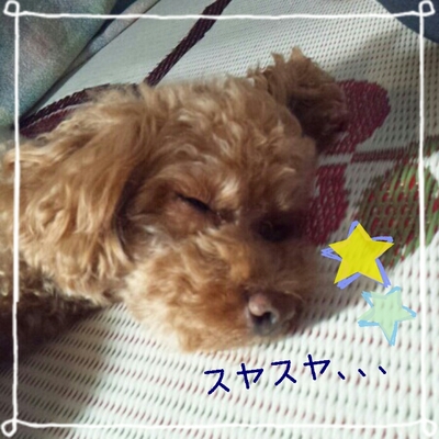 2013-07-15_19.00.39.jpg