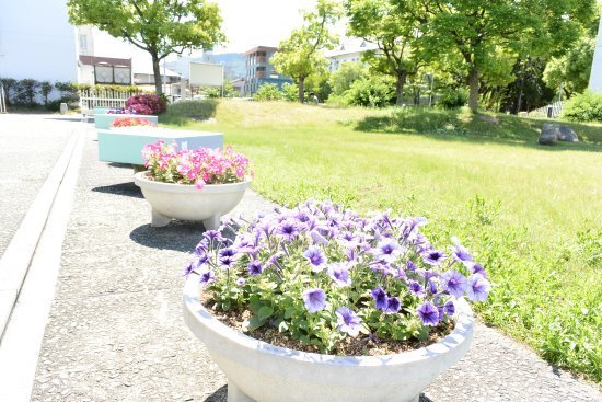 DSC_4308.jpg