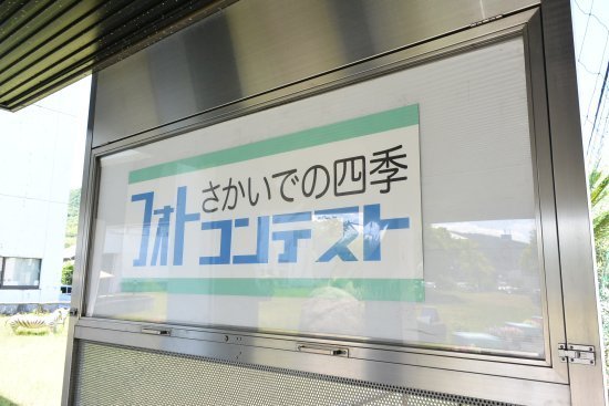 DSC_4309.jpg