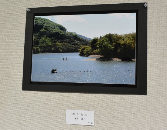 DSC_4312.jpg